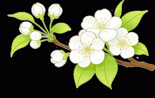 为何那条常年拥堵的祭扫之路,今年竟变得如此顺畅?|文明祭祀的全新底色 新闻