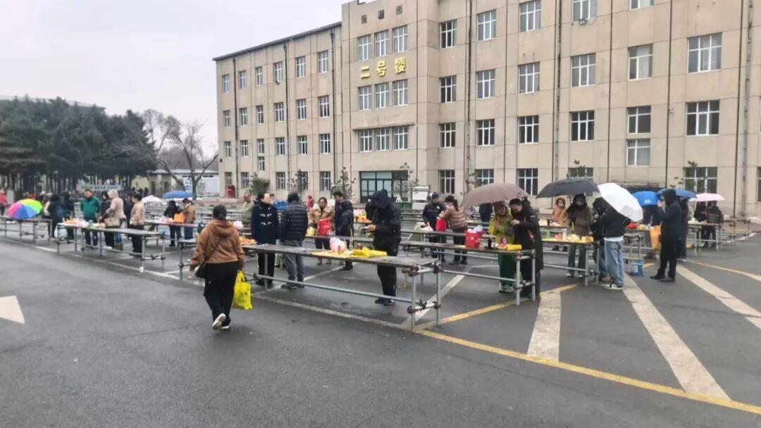 为何那条常年拥堵的祭扫之路,今年竟变得如此顺畅?|文明祭祀的全新底色 新闻