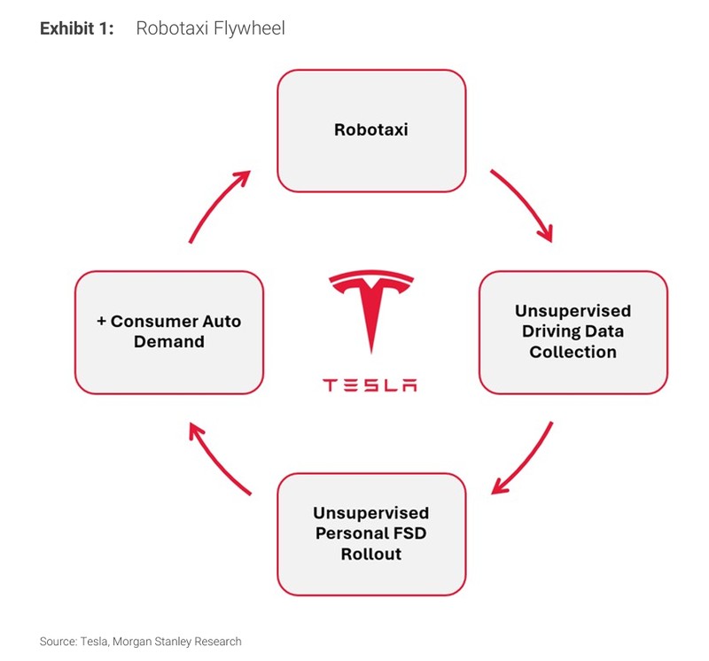  Robotaxi加速数据循环，Optimus开启实体AI新篇章：特斯拉转型路径深度解析。 股票财经