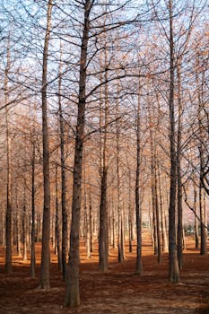 廉洁之风，实干为本；摒弃浮华，担当在肩。