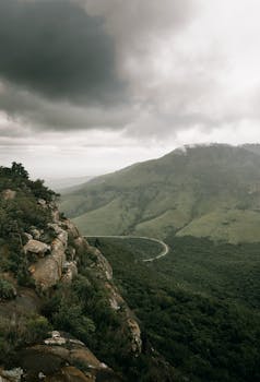 2026年资本市场：企业管治失效引发的信任危机与避险逻辑 股票财经