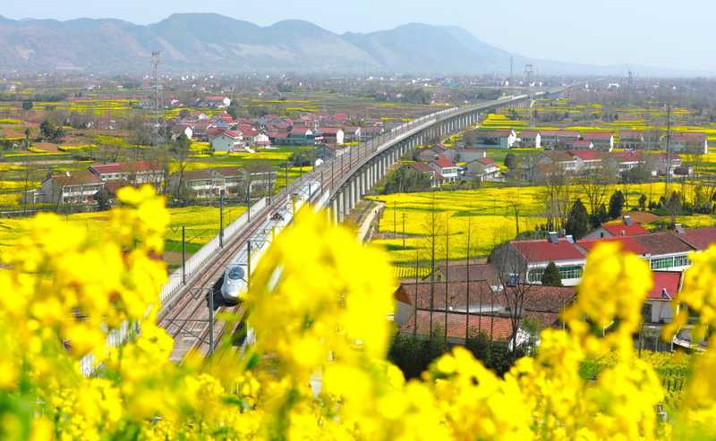  流量转化与业态重构：汉中花海模式的深度解析 企业服务