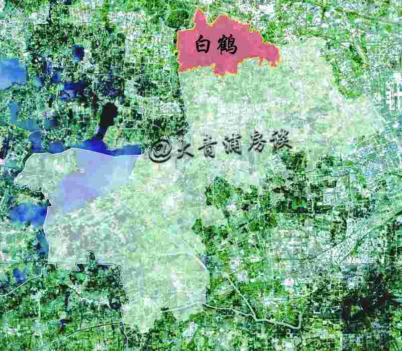 迷雾中的城市蓝图：从白鹤镇发展规划看区域价值逻辑