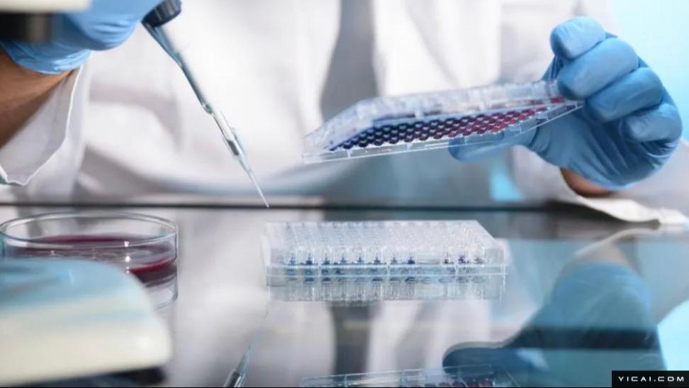  巨头们的“中国赌注”：跨国药企加码背后的战略博弈 新闻