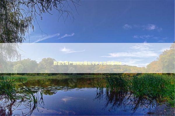 数百万用户信赖的隐私守护方法深度揭秘